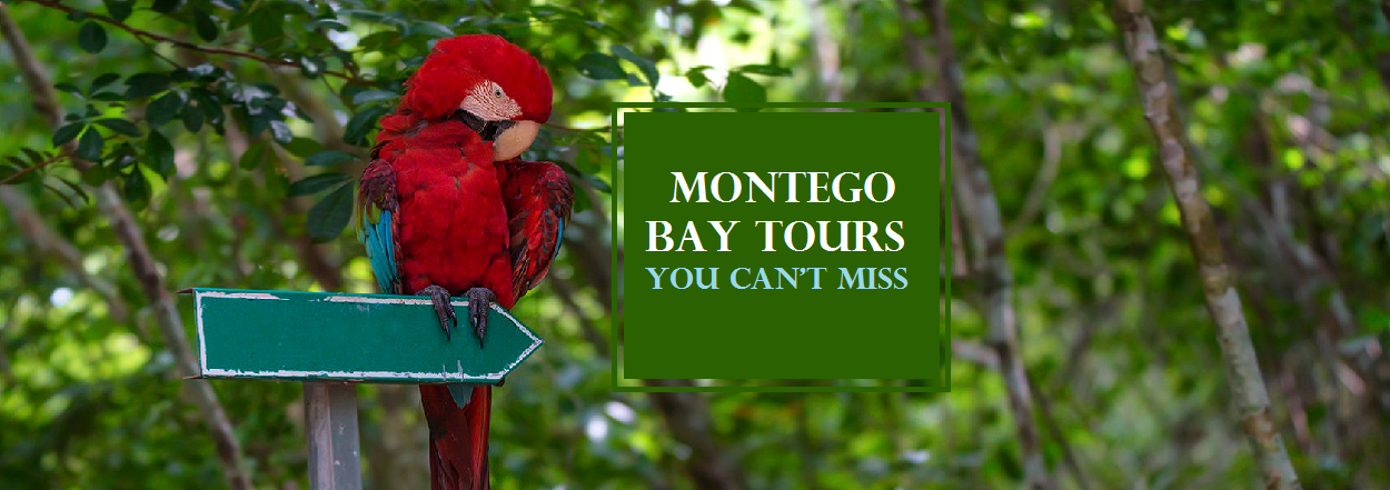 Montego Bay Jamaica Tours